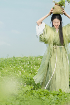 北方有佳人电视剧全集免费观看